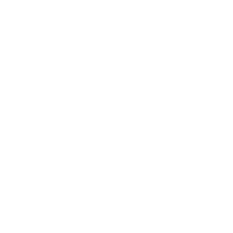 ce logo Stevensville